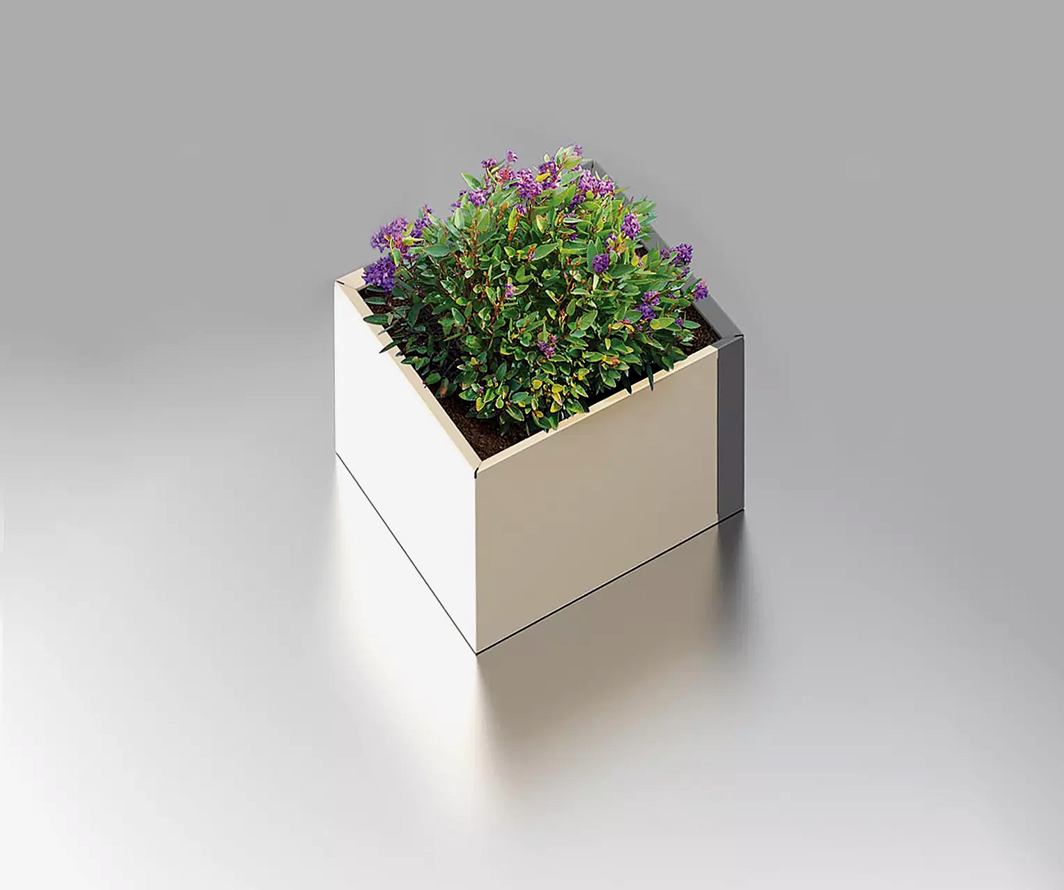 Vorschau: 4638_F_017 Vorschau: 4638_F_017